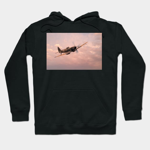 Spitfire TE311 (Mk LF XVIE) Hoodie by aviationart